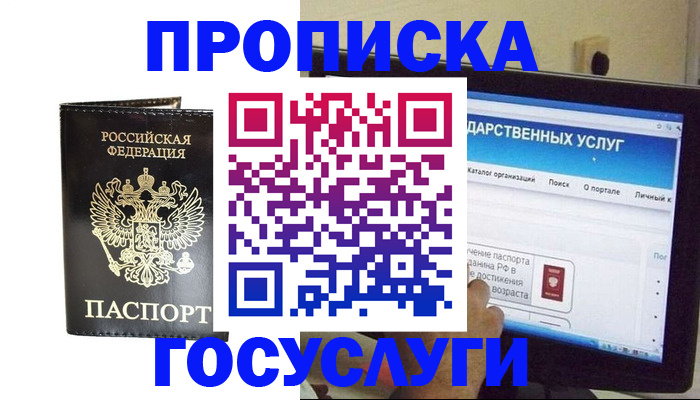 прописка гарантия в Волоколамске